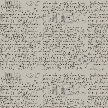 Art Journal, C13034-GRAY, Gray, Riley Blake