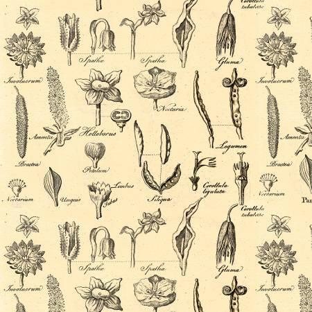 Art Journal, C13042-BEEHIVE, Beehive, Riley Blake