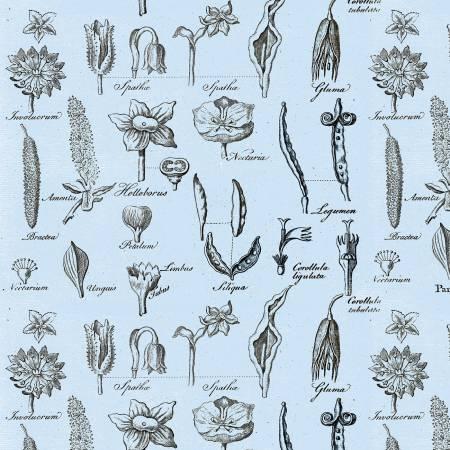 Art Journal, C13042-BLUE, Blue, Riley Blake