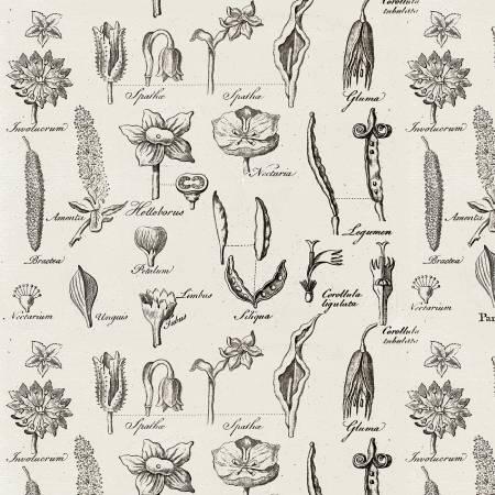 Art Journal, C13042-LTGRAY, Lt Gray, Riley Blake