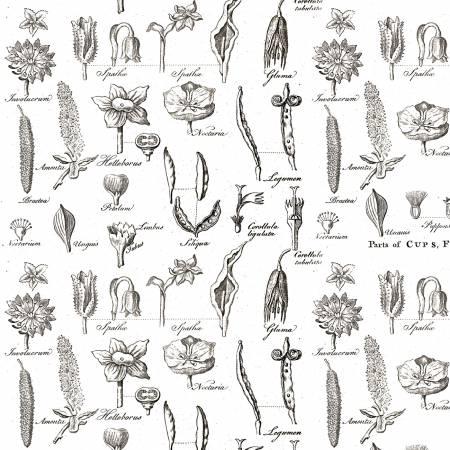 Art Journal, C13042-WHITE, White, Riley Blake