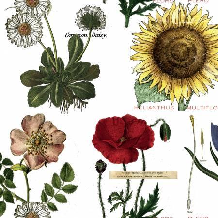 Art Journal, CD13038-WHITE, White, Riley Blake