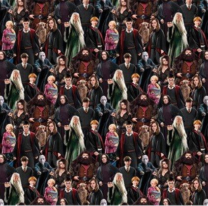 Benartex, Harry Potter Characters 108", 15226W-99, Multi
