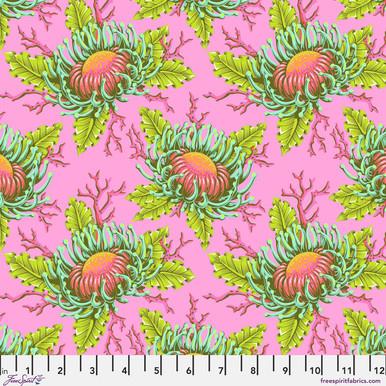 Free Spirit, Tula Pink, Friends & Anemones, PWTP265.CORALLINE, Coralline