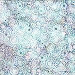 Hoffman Fabrics Oceanic Adventure, W2580-518, Splash,