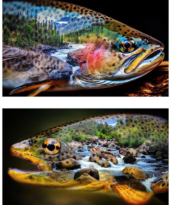 Hoffman Fabrics Trout About, Y5832-311, Lake,