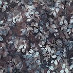 Hoffman Fabrics Vino At Dusk, W2585-11, Mauve,