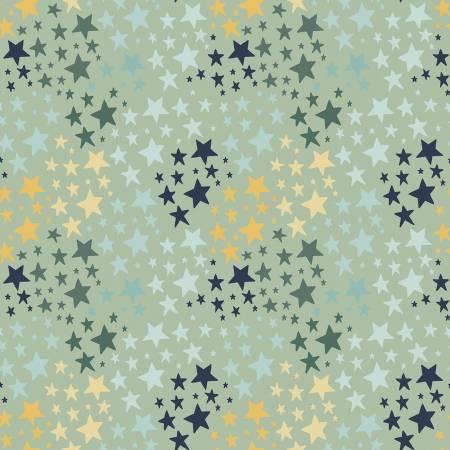 It's A Boy, C13254-SAGE, Sage, Riley Blake