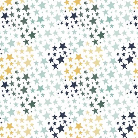 It's A Boy, C13254-WHITE, White, Riley Blake