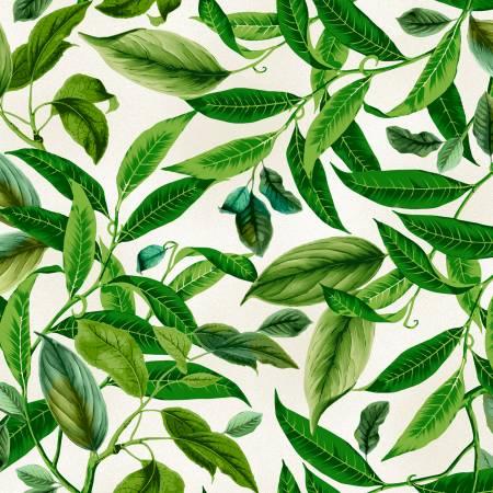 MAYWOOD, Lanai, D10224M-E