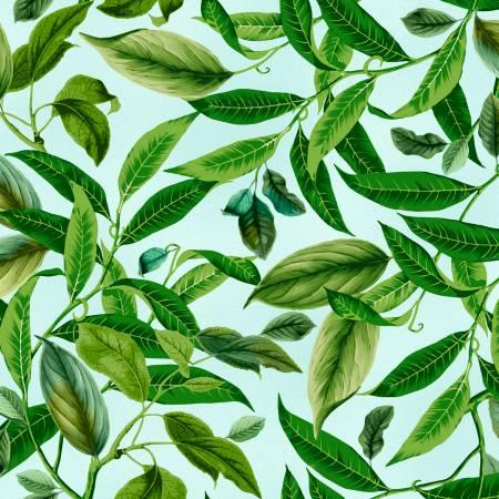 MAYWOOD, Lanai, D10224M-Q