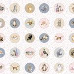 Maywood Studios Whiskers & Paws, 10412M-Z, Multi,