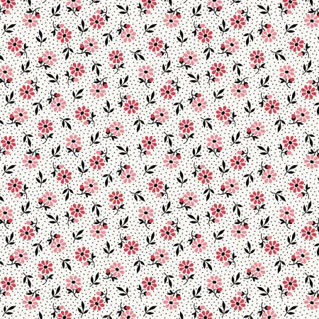 Michael Miller, Kiss the Cook, CX8066-PEAR, Pear