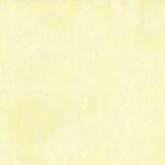 Michael Miller, Michael Miller, Fairy Frost, CM0376-IVOR-D, Ivory