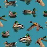 Michael Miller Welcome To Our Lake, DCX11479-AQUA-D, Aqua,