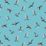 Michael Miller Welcome To Our Lake, DCX11481-SKYX-D, Sky,