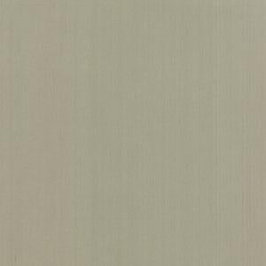 Moda Bella Solids, 9900 310, Taupe