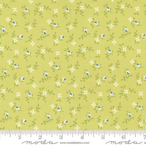 Moda Cali Co, 29192 38, Light Lime,