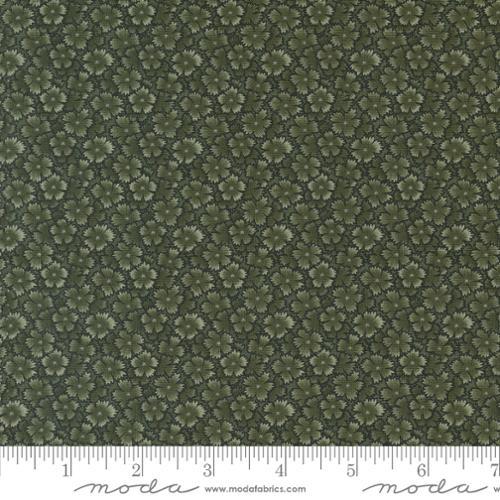 Moda Chickadee Landing, 9748 15, Leaf, Kansas Troubles