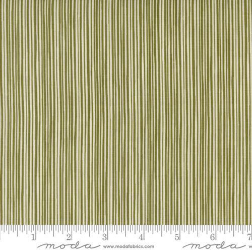 Moda, Emmitt And Ivy, 55696 13, Pine