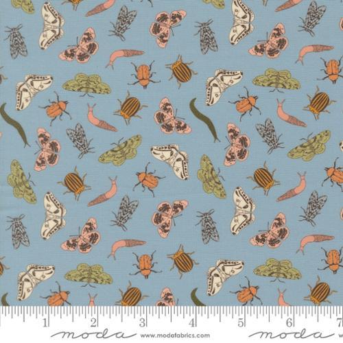 Moda Petalush , 26165 16, Wind,