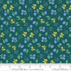 Moda, Robin Pickens, Cottage Bleu, 48693 15