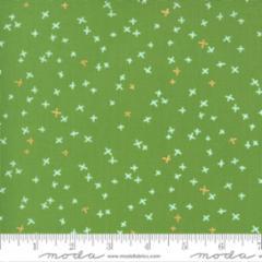 Moda, Zen Chic, Dance In Paris, 1745 15M