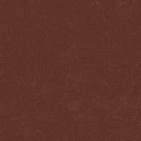 National Parks, C13293-BROWN, Browin, ANDERSON DESIGNS COL