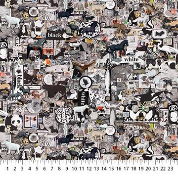 Northcott Color Collage Ii, DP25231-99, Black, Shelley Davies