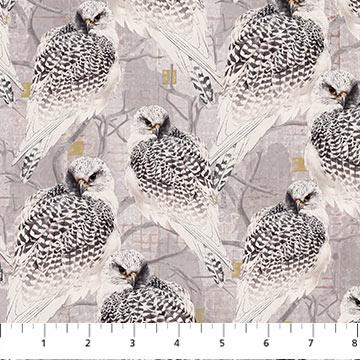 Northcott, Falcon Ridge, 25128-14