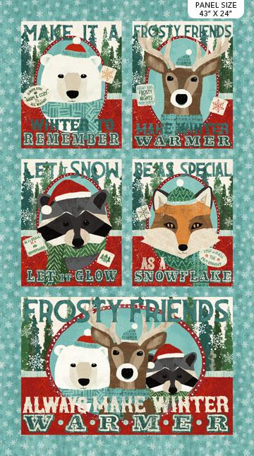 Northcott, Vero Charron, Warmin' Up-Flannel, F24183-64, Turquoise Multi