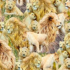 QT Fabrics, Lions's Pride, 28913-S