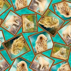 QT Fabrics, Lions's Pride, 28914-Q