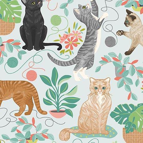 Qt Fabrics, Curious Kittycats, 2600-31870-BQ, Lt Blue,