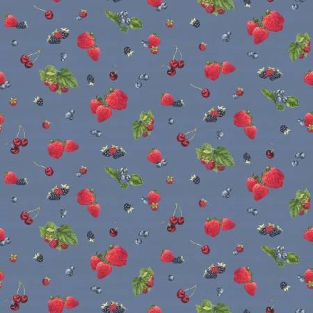 Riley Blake, 12 Monthly Placemats, C12411-DENIM, DENIM