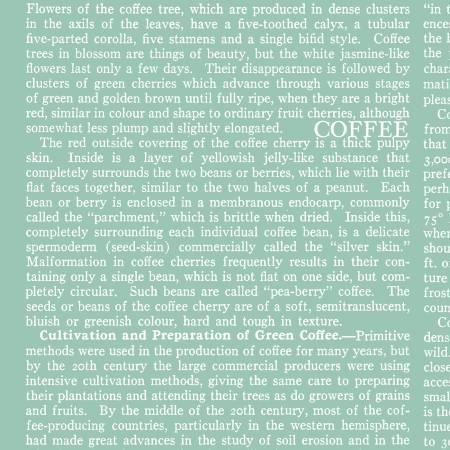 Riley Blake Designs, C11039R-AQUA, Aqua