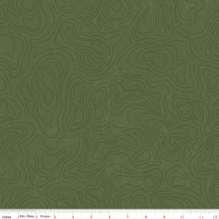 Riley Blake Designs, National Parks, C13293-CHIVE, Chive,