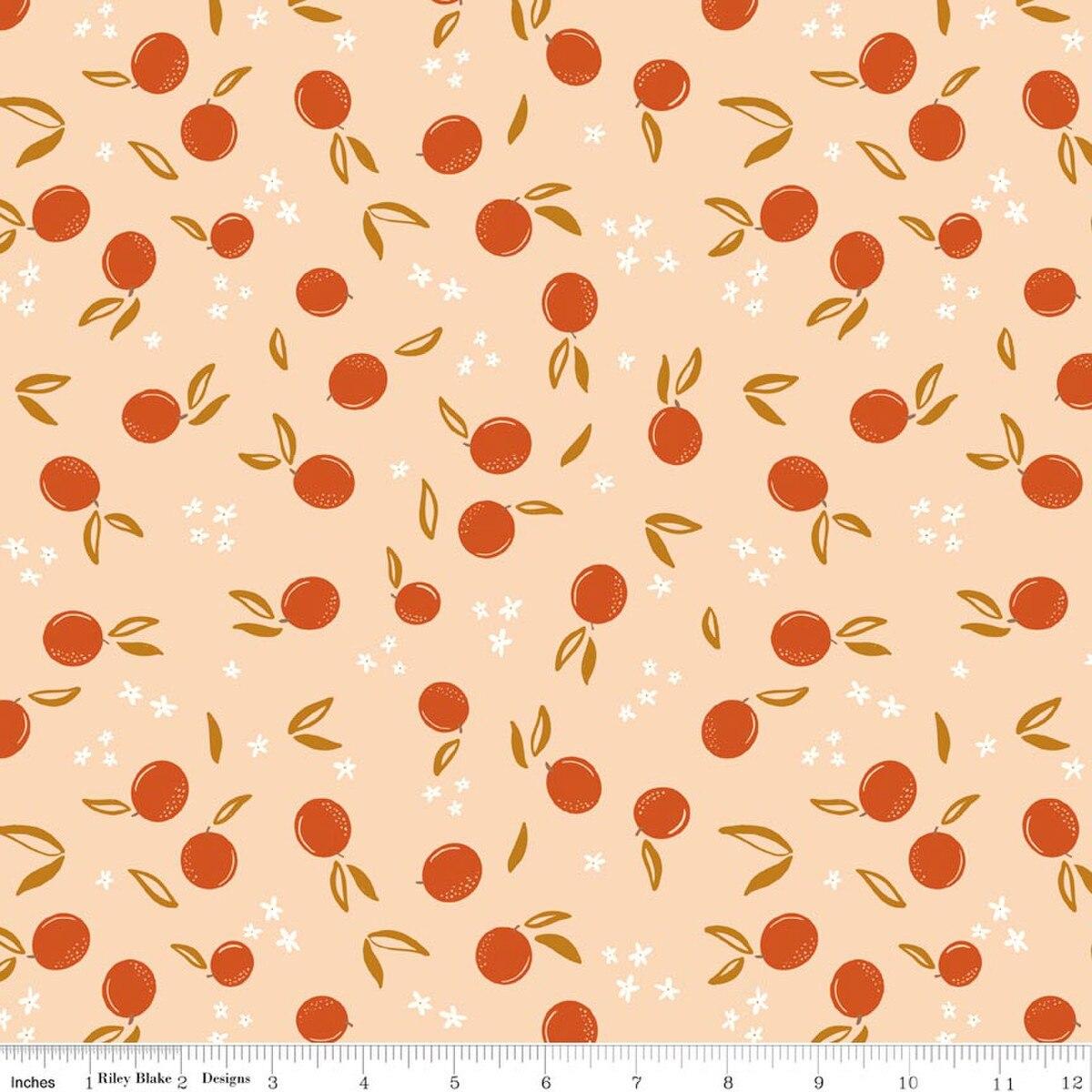 Riley Blakes Designs Homage, C17223-SHELL, Shell,