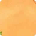 Robert Kaufman Garden Goodness, ABYD-24120-151, Orange,
