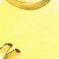 Robert Kaufman Garden Goodness, ABYD-24121-139, Yellow,