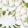 Robert Kaufman Garden Goodness, ABYD-24122-522, White,