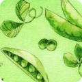 Robert Kaufman Garden Goodness, ABYD-24123-421, Green,