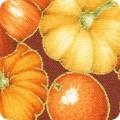 Robert Kaufman Sweet Pumpkin Spice, SRKM-22322-191, Autumn,