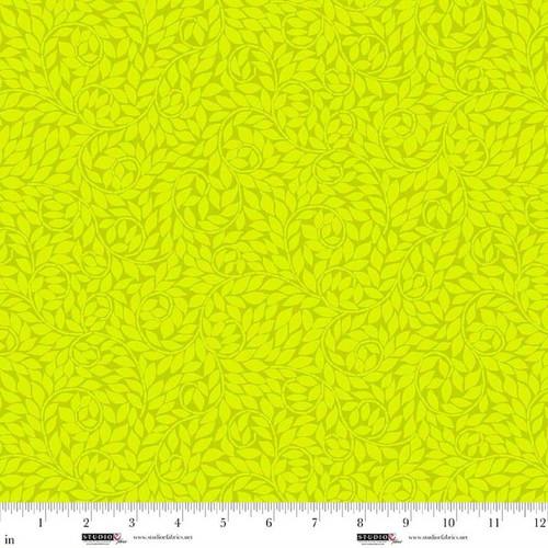 Studio E Sweet Licorice, 8798S-63, Lime,