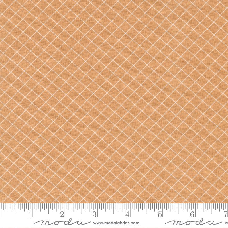 Sunnyside, 55283 18, Apricot, Camille Roskelly