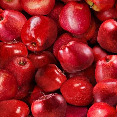 Timeless Treasures, Fruitbowl, CD1370-RED