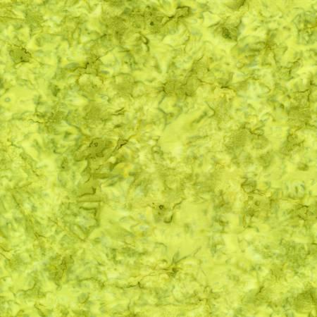 Timeless Treasures Java Blender, TONGA-B7900-EDEN, Eden