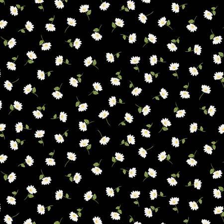 Timeless Treasures, Watermelon Party, FLEUR-CD1927-BLACK, Black