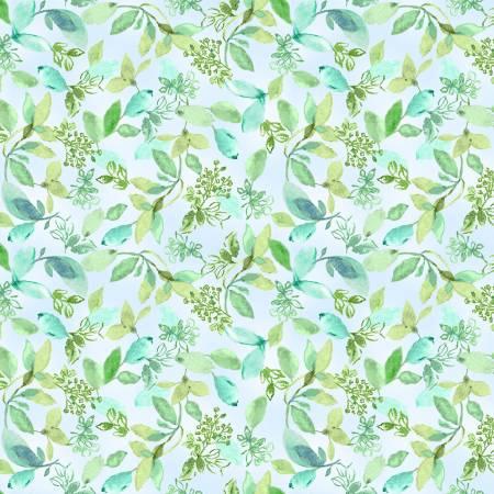 Timeless Treasures, Wild Poppy, C6100-BLK