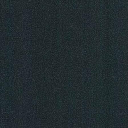 Timeless Treasures, Wild Poppy, C8471-BLK, Black